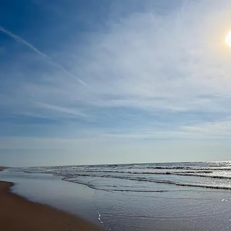 Salty Dunes *